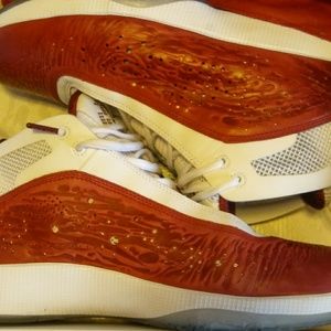 Jordans year of the rabbit.